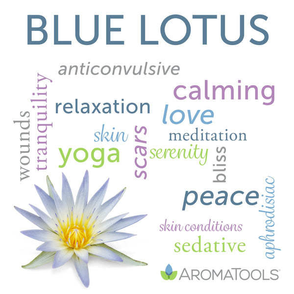 Essential Oil Spotlight: Blue Lotus - AromaTools®