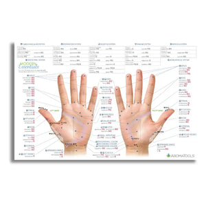 Modern Essentials Reflexology Chart