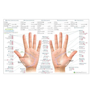 Modern Essentials Reflexology Chart 10Th Edition French
