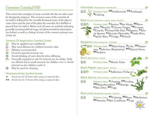 ’Introduction To Modern Essentials’ Booklet 16Th Edition (Pack Of 10)