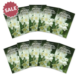 Spanish ’Introduction To Modern Essentials’ Booklet 15Th Edition (Pack Of 10)