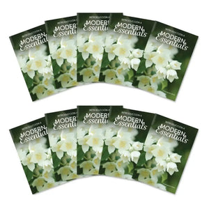 Spanish ’Introduction To Modern Essentials’ Booklet 15Th Edition (Pack Of 10)