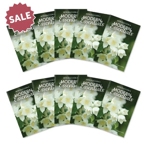 Spanish ’Introduction To Modern Essentials’ Booklet 15Th Edition (Pack Of 10)