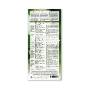 Spanish Modern Essentials Reference Cards 15Th Edition (Pack Of 25)