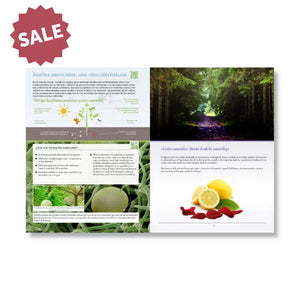 Spanish Modern Essentials Handbook 15Th Edition