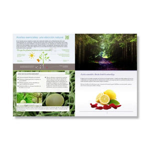 Spanish Modern Essentials Handbook 15Th Edition