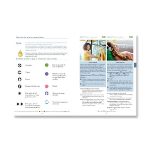 Spanish Modern Essentials Handbook 15Th Edition