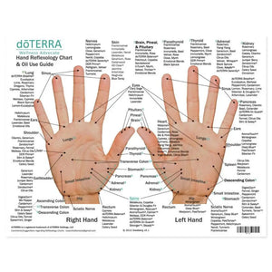 Hand side of the Hand and Foot Reflexology Chart (8-1/2 X 11), features doTERRA essential oils and blends.