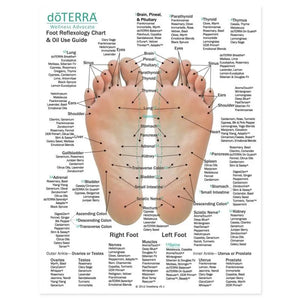 Foot side of the Hand and Foot Reflexology Chart (8-1/2 X 11), features doTERRA essential oils and blends.