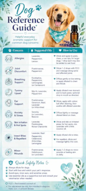 Cat & Dog Essential Oil Reference Guide Rack Card (Pack of 10)