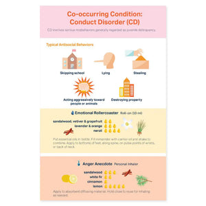 Essential Support For Adhd Booklet