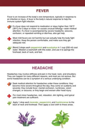 ’Essential Oil Support for First Aid’ Booklet (Copy)
