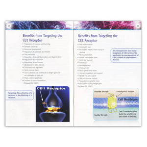 The Endocannabinoid System And Its Messengers Booklet By Elise Bailey