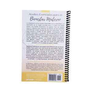 Spanish Hindsights For Maternal Wellness 2Nd Edition By Stephanie Mcbride
