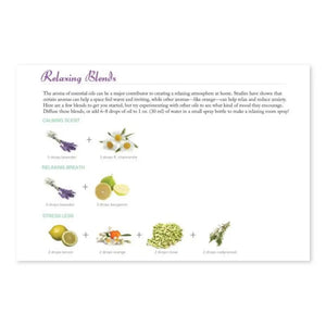 Essential Wellness: Oils Coloring Therapy Book By Educators