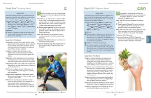 Modern Essentials 2024 Hard Cover 16Th Edition