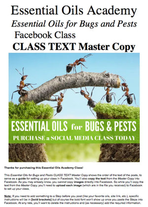 Essential Oils For Bugs And Pests Oil Academy Digital Online Class