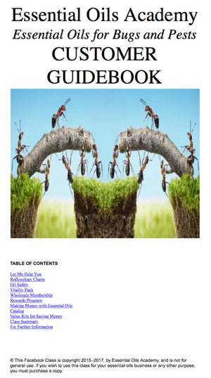 Essential Oils For Bugs And Pests Oil Academy Digital Online Class