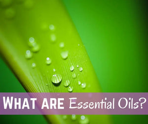 Cleaning With Essential Oils Oil Academy Digital Online Class