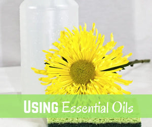 Cleaning With Essential Oils Oil Academy Digital Online Class