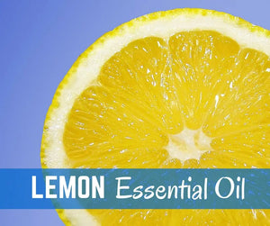 Cleaning With Essential Oils Oil Academy Digital Online Class