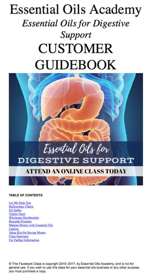Essential Oils For Digestive Support Oil Academy Digital Online Class