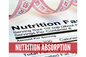 Cleanse And Detox With Essential Oils Oil Academy Digital Online Class