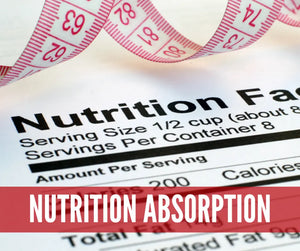 Cleanse And Detox With Essential Oils Oil Academy Digital Online Class