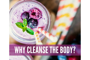 Cleanse And Detox With Essential Oils Oil Academy Digital Online Class