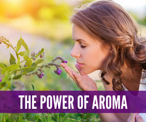 Essential Oils For College Life Oil Academy Digital Online Class