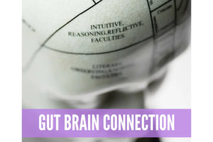 Essential Oils For Digestive Support Oil Academy Digital Online Class