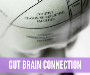 Essential Oils For Digestive Support Oil Academy Digital Online Class