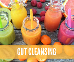 Essential Oils For Digestive Support Oil Academy Digital Online Class