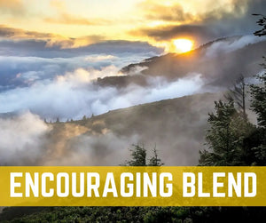 Emotions And Essential Oils Oil Academy Digital Online Class