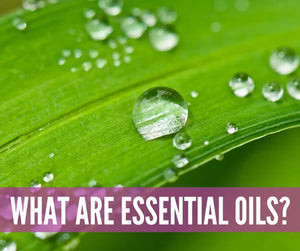 Emotions And Essential Oils Oil Academy Digital Online Class