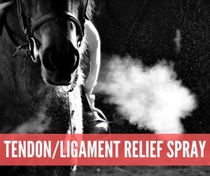 Essential Oil Recipes For Horses Academy Digital Online Class