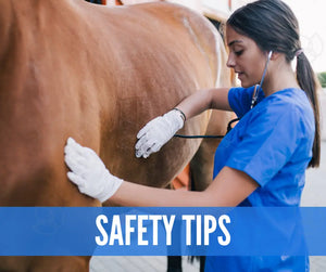 Essential Oil Recipes For Horses Academy Digital Online Class