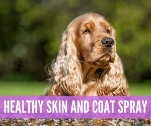 Essential Oil Recipes For Pets Academy Digital Online Class