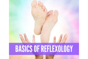 Essential Oils For Reflexology Oil Academy Digital Online Class