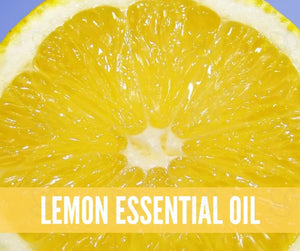 The Essentials Kit Essential Oil Academy Digital Online Class