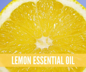 The Essentials Kit Essential Oil Academy Digital Online Class