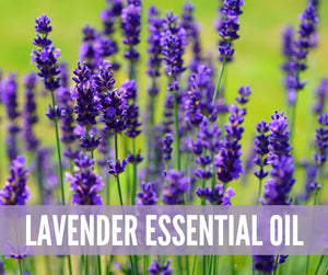 The Essentials Kit Essential Oil Academy Digital Online Class