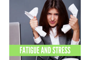 Essential Oils For Fatigue Oil Academy Digital Online Class