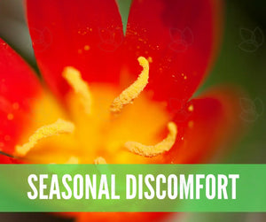 Essential Oils For First Aid Oil Academy Digital Online Class