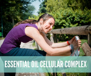 Essential Oils For First Aid Oil Academy Digital Online Class