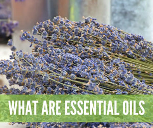 Essential Oils For First Aid Oil Academy Digital Online Class