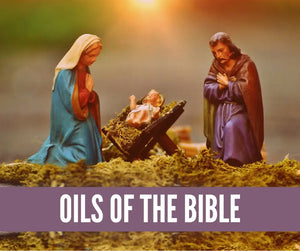 Surviving The Holidays With Essential Oils Oil Academy Digital Online Class