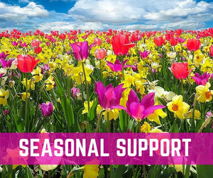 Essential Oils 101 Oil Academy Digital Online Class