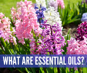 Essential Oils 101 Oil Academy Digital Online Class
