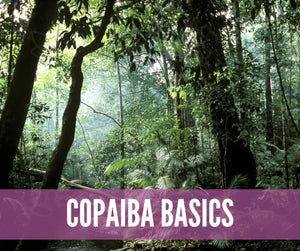 Copaiba Essential Oil Academy Digital Online Class